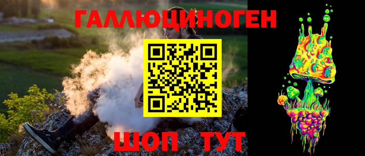 закладки  Галлюциногенные грибы GOLDEN TEACHER  Вход с VPN  Братск 